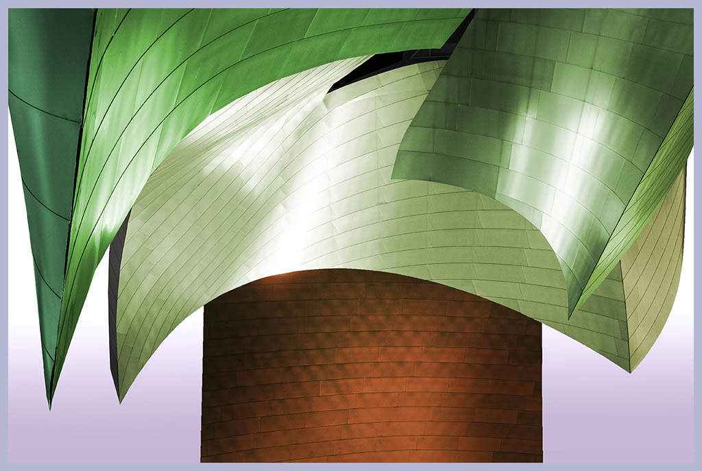 A photograph by Rafael Rodríguez.